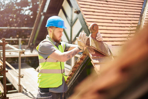 Best Roof Gutter Cleaning  in Eastvale, CA